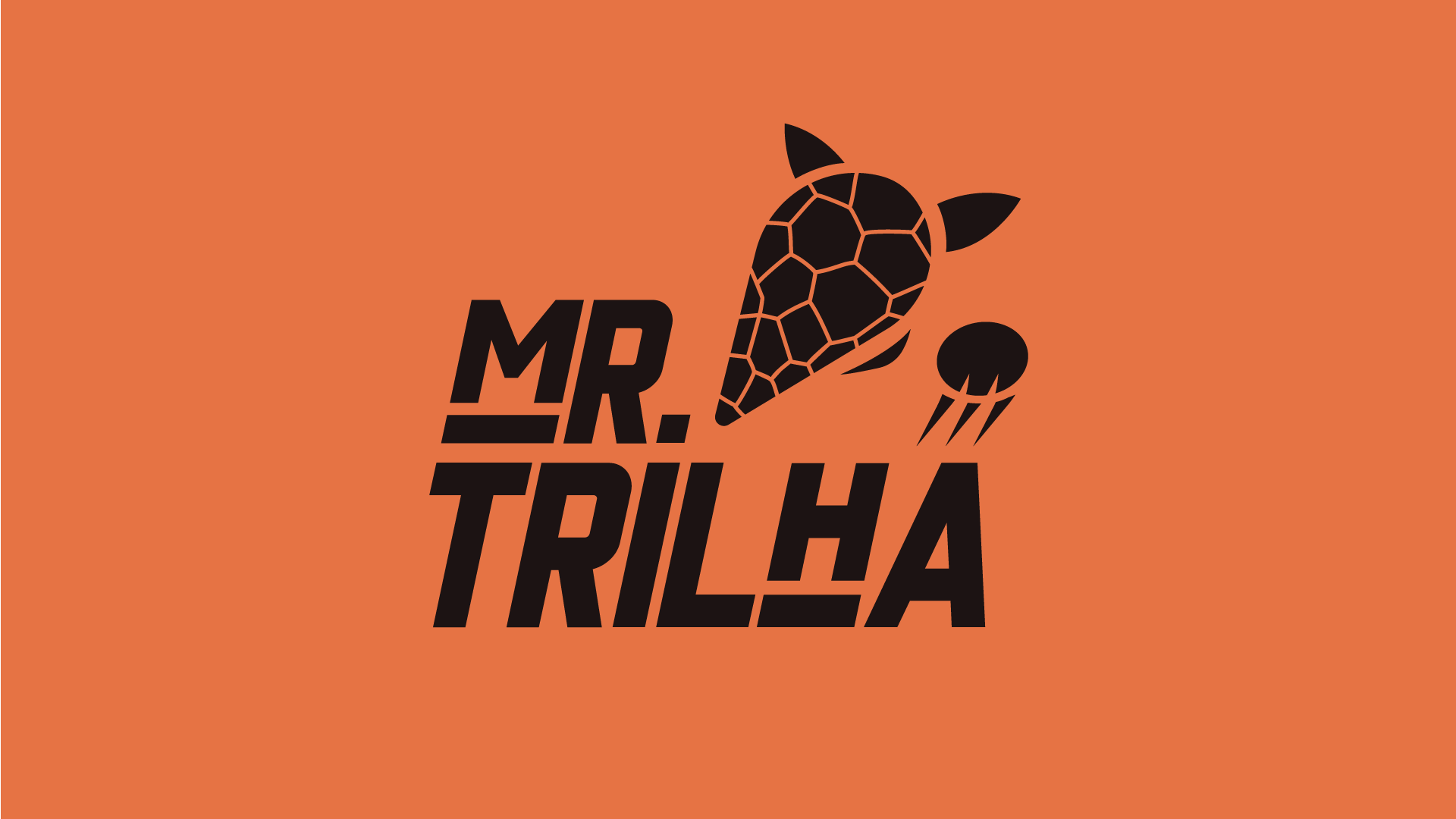 Identidade visual Mr. Trilha